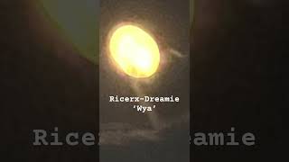 RicerX x Dreamie music [upl. by Lokim953]