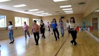 D H S S Line Dance Demo amp Walk Through [upl. by Lledra612]