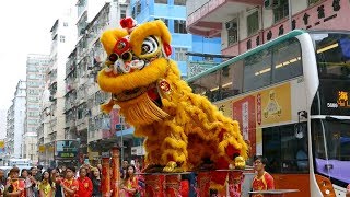 Chinese New Year 2019 Lion Dance Hong Kong [upl. by Socin]