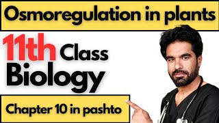 Osmoregulation in plants  Class 11th biology  Chapter 10 [upl. by Moises]