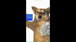 3 Hilarious Bank Facts You Won’t Believe 😂 Facts with Mr Potato facts funfacts funnyfacts [upl. by Ailey]