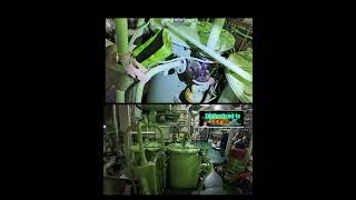 Testing OWS Oily Water Separator 15PPM alarm and check 3 way valve if working good [upl. by Trust]