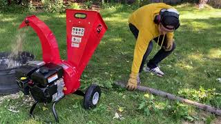 Great Circle mini wood chipper VS 12 tree [upl. by Michelina]