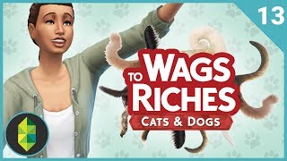 Wags to Riches  Part 13 Sims 4 Cats amp Dogs [upl. by Nairim]