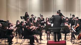 20151118 08 Symphony No 1  4th Movement Brahms [upl. by Egroj]