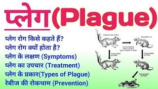 प्लेग रोग क्या है  plague disease in hindi  plague symptoms treatment prevention diagnosis ताऊन [upl. by Adrianna855]