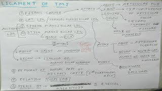 Temporomandibular Joint  2 Ligament  TCML [upl. by Mcloughlin588]