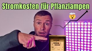 Wie teuer ist der Strom für Pflanzlampen wirklich 💸🌱 [upl. by Edme]