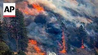 Video shows wildfires tearing through the Idaho border [upl. by Olegna]