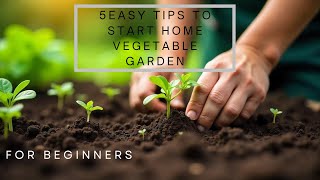 5 Easy Tips for Starting a Home Vegetable Garden  Home Gardening garden tips plants [upl. by Nroht]