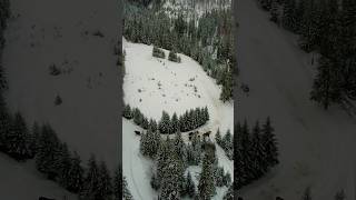 Morskie Oko in Winter  Zakopane  Winter Capital of Poland [upl. by Symons]