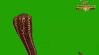 Nagin 4 vishakha red❤️ snake on green screen part 1nagin seasons [upl. by Onia293]