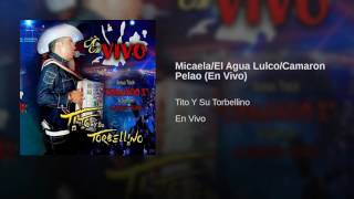 Tito Torbellino  Micaela El Agua Lulco Camaron Pelao En Vivo [upl. by Kristan]