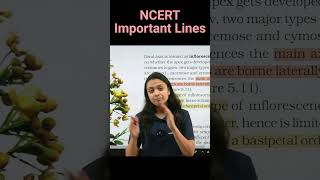 Racemose vs cymose inflorescence  NCERT important lines for NEET  Revision Biology NEET [upl. by Aicsile]