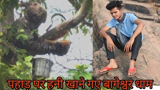 पहाड़ पर हनी खाने गए बागेश्वर धाम viralvideo Ajitabh singh vlogs [upl. by Kera]