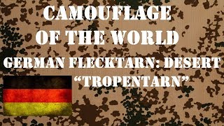 Camouflage of the World German Flecktarn Desert [upl. by Medlin845]