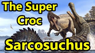 Sarcosuchus The Prehistoric Super Croc [upl. by Feld]