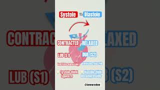 Systole vs Diastole systolic diastolic nursingschool nursingschoolstudents nursingstudent [upl. by Faucher385]