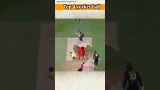 Top 4 yorker ball subscribe short cerket video [upl. by Reneta154]