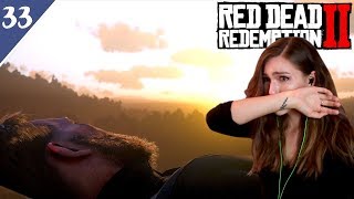 Red Dead Redemption 2 Official Trailer 3 Reaction [upl. by Ynavoj344]