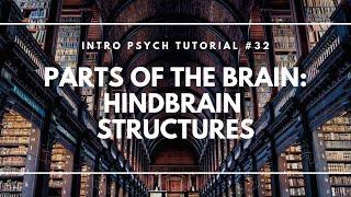 Parts of the Brain Hindbrain Structures Intro Psych Tutorial 32 [upl. by Elyn]