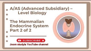 AAS Advanced Subsidiary Level  Biology  The Mammalian Endocrine System [upl. by Yssep]