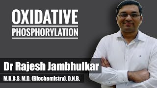 3 Oxidative Phosphorylation and Chemiosmotic hypothesis Biological Oxidation part 2 [upl. by Tierney]