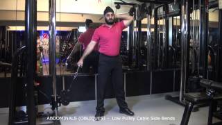 ABDOMINALS OBLIQUES  Low Pulley Cable Side Bends [upl. by Trebo]