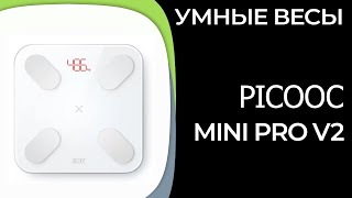 Умные весы Picooc Mini Pro V2 [upl. by Sajovich633]