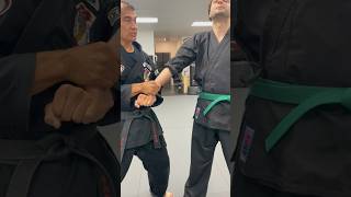 Skeletal Structure MartialArts KenpoKarate Showyourclip heightwidthdepth Learning [upl. by Eiboh]