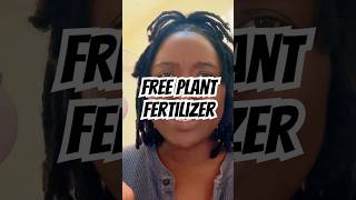 Free plant fertilizer  plants  🌱 homemadefertilizer garden cheapgarden gardening [upl. by Llednor]