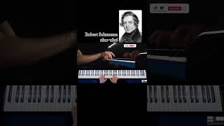 Wild Keyboard Riding  Schumann Wild Rider op688 [upl. by Imij437]