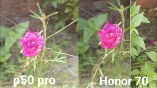 Huawei p50 pro vs honor 70 camera test [upl. by Welby347]