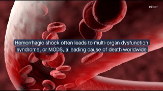 SDC1 knockout A possible therapeutic pathway in hemorrhagic shock [upl. by Unders]