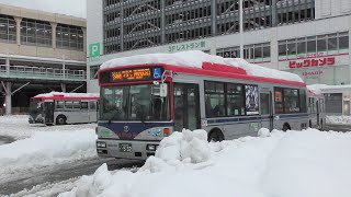 記録的大雪 新潟駅でバスを眺める [upl. by Christy]