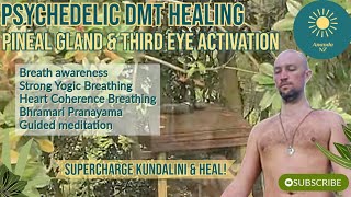 Psychedelic DMT Healing Breathwork [upl. by Torres262]