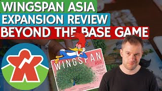 Wingspan Asia  Expansion Review  Beyond The Base Game [upl. by Aklog349]