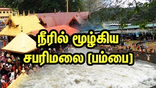 நீரில் மூழ்கிய சபரிமலை பம்பை  Kerala flood  Kerala Rain  TTN [upl. by Hawkins]