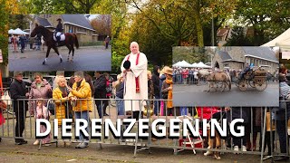 DIERENZEGENING MET JACHTHOORNBLAZERS LA GARENNE SCHOTEN [upl. by Warrick]