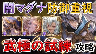 ［グラブル］武極の試練闇マグナで攻略［フェディエル軸・防御重視］ [upl. by Elfie]