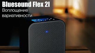 Обзор Bluesound Flex 2I [upl. by Ivar]