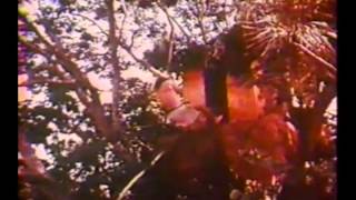 Windex TARZAN funny vintage TV Commercial [upl. by Nehpets]