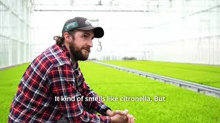 Product Spotlight Cupressus Plugs with Chris [upl. by Elatsyrc]