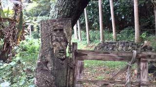 Waipio Valley Part 2wmv [upl. by Fridell971]