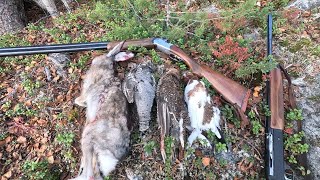 Joya is on Fire Caccia in Lapponia 2024Lapland Hunting 2024 [upl. by Hellah183]