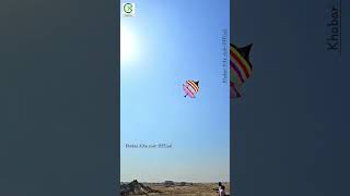 Beautiful Kite Flight Awesome Wind [upl. by Reahard349]