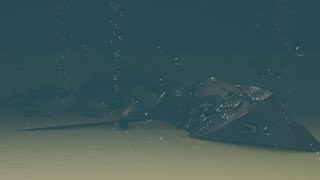 Wreck of the RMS Lusitania  Blender Animation [upl. by Assiluy]