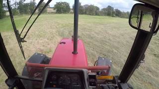 MF 6150 Tedding Hay [upl. by Patrizio426]