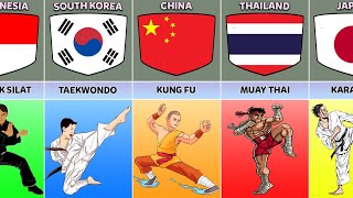 Martial Arts From Different Countries [upl. by Anemaj]