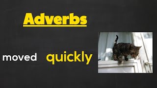 Adjectives and Adverbs  Parts of Speech  English Lessons [upl. by Alexine]